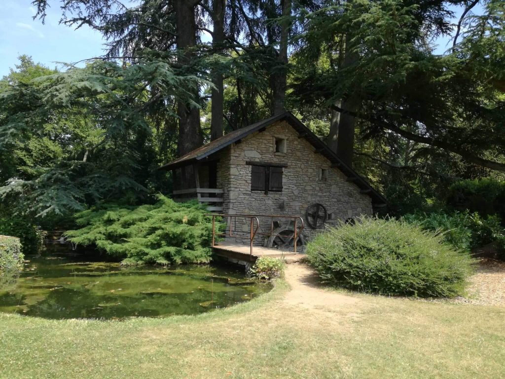 Picture from the Floral Parc of Orléans