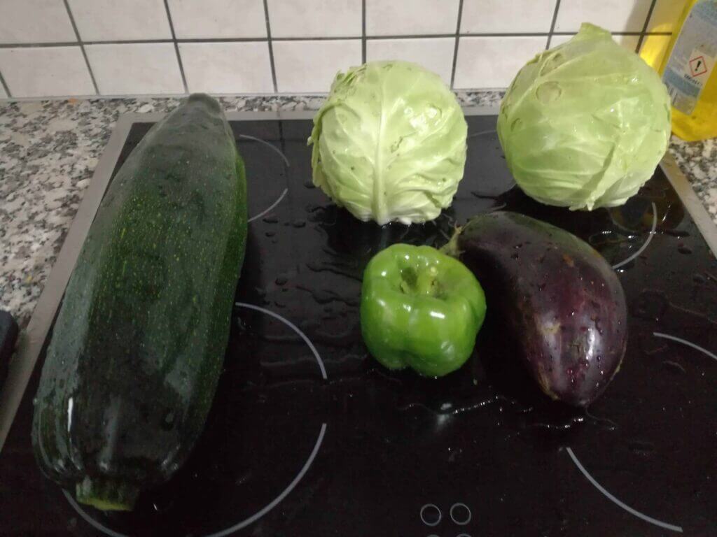 A few fresh vegetables from the garden