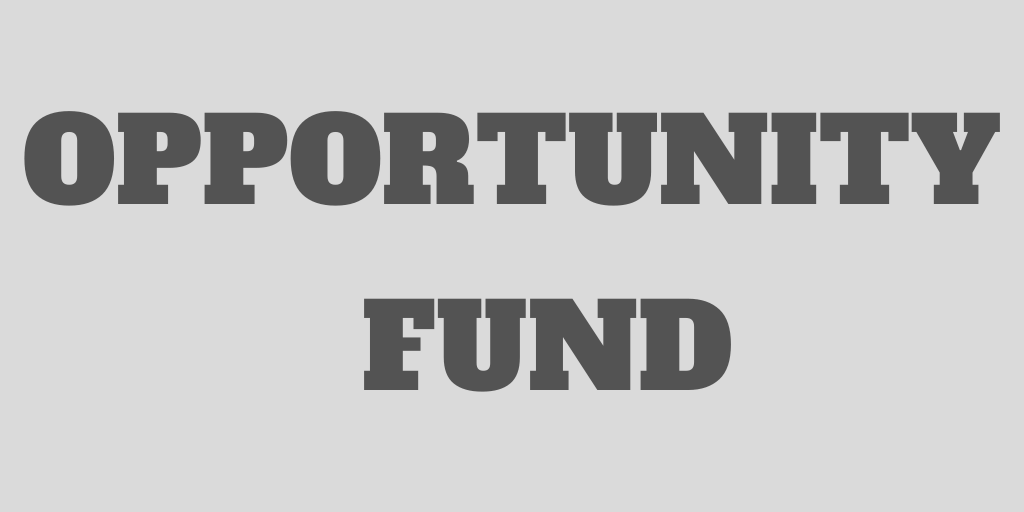What is an Opportunity Fund? Be Ready for a Bear Market