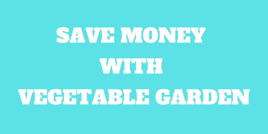 How To Save Money with a Vegetable Garden