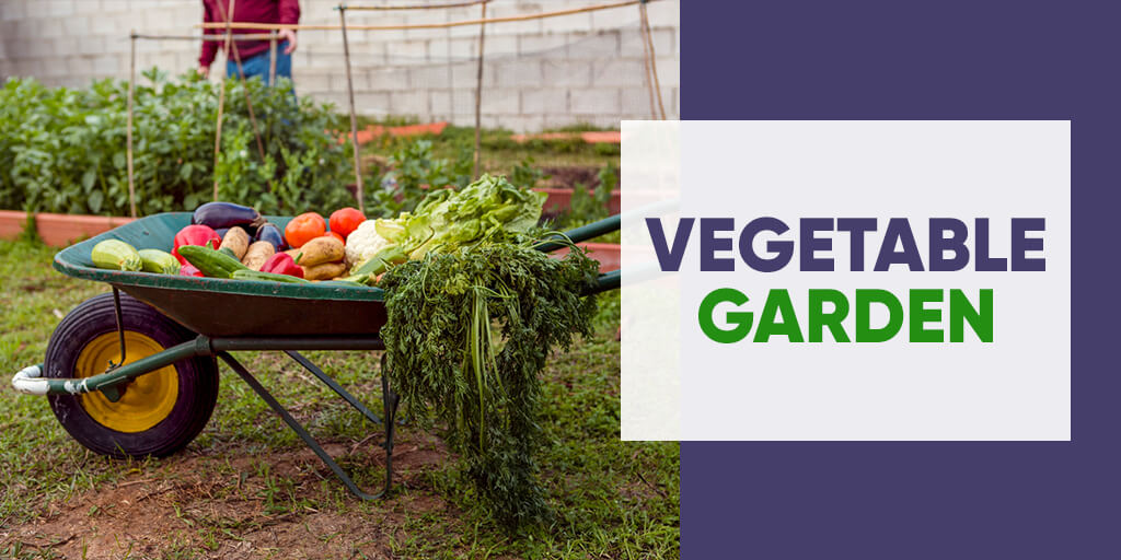Vegetable Garden