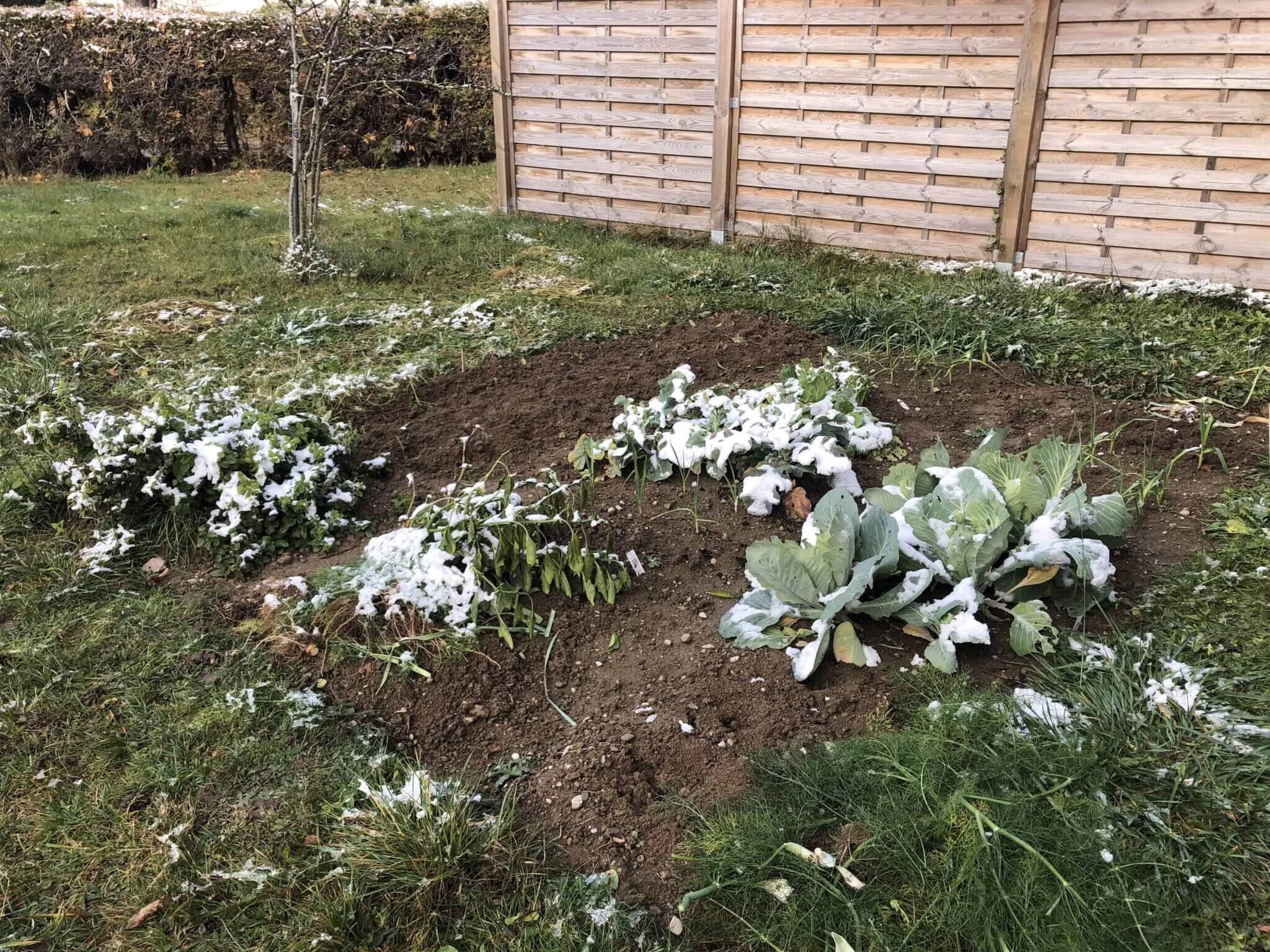 Unser Gemüsegarten am Ende des Jahres 2018