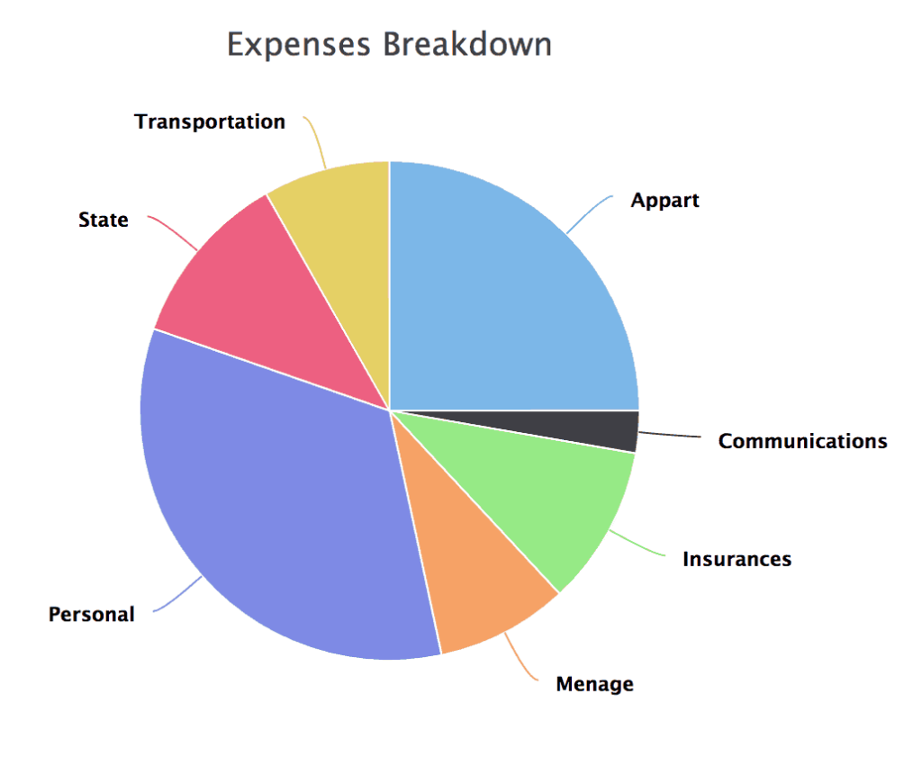 Expenses breakdown for 2018