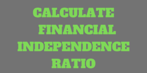 How to Calculate your Financial Independence (FI) Ratio