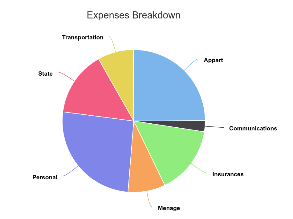 Breakdown of our 2019 Expenses