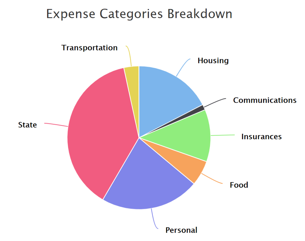 The breakdown of our expenses in 2020