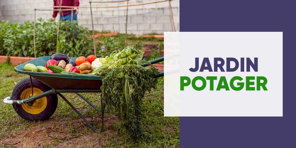 Vegetable Garden