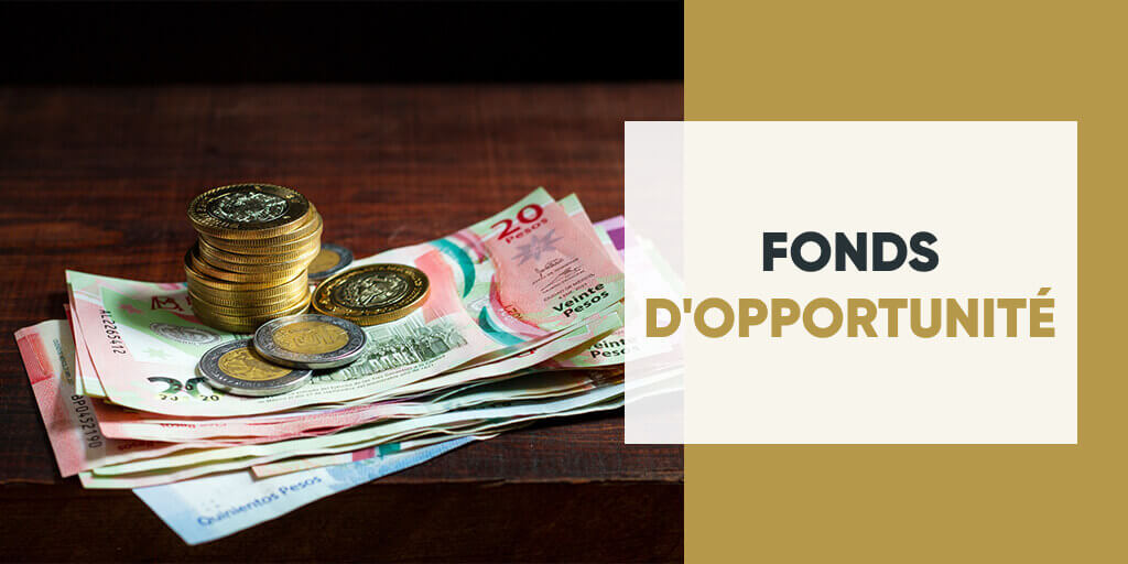 Opportunity Fund