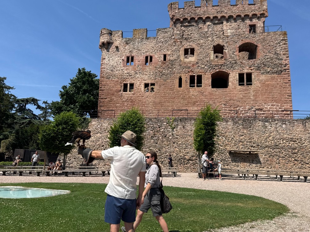 Holding a Kite in Alsace